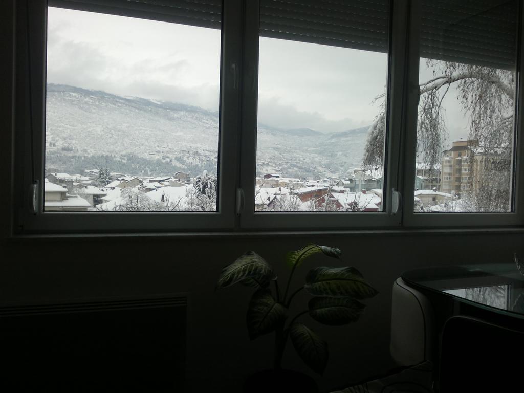 Apartment Goran And Milena Ohrid Room photo